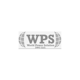Реле-регулятор генератора Wps BS322211