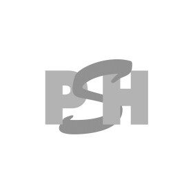 Реле-регулятор генератора CV PSH BS319686