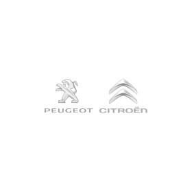 Реле-регулятор генератора Citroen / Peugeot BS320391