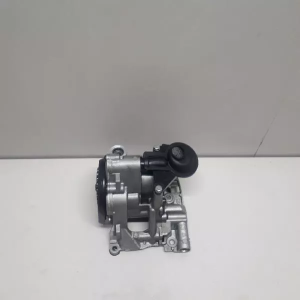 Масляный насос BS254339