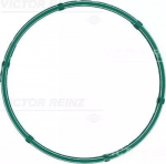 Прокладка впускного коллектора VICTOR REINZ BS84749