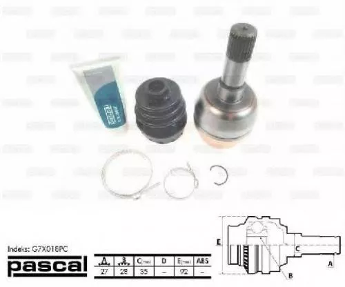 ШРУС PASCAL BS163895