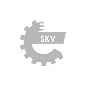 Реле-регулятор генератора Skv Germany BS321539 Реле-регулятор генератора Skv Germany BS321539