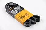 Приводной ремень CONTITECH BS81465