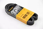 Приводной ремень CONTITECH BS81179