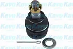 Шаровая опора KAVO PARTS BS42097 Шаровая опора KAVO PARTS BS42097
