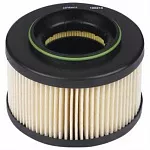 Топливный фильтр DELPHI BS172971