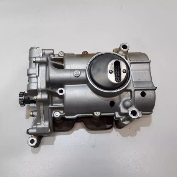 Масляный насос BS253697 Масляный насос BS253697