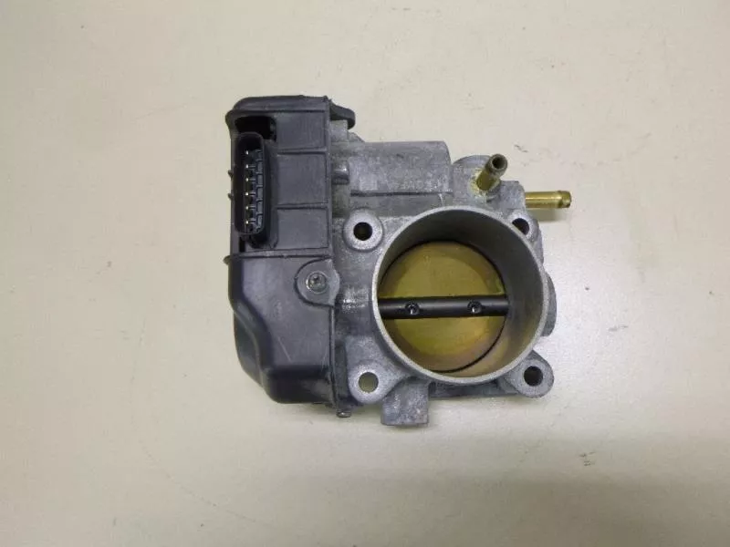 Заслонка дроссельная BS191969