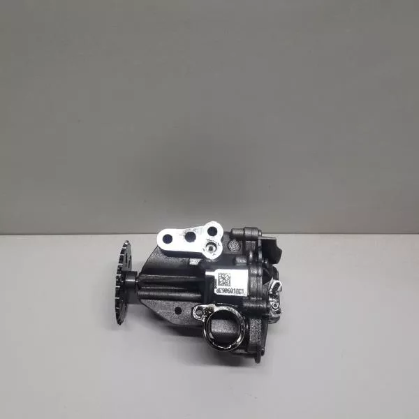 Масляный насос BS254305 Масляный насос BS254305