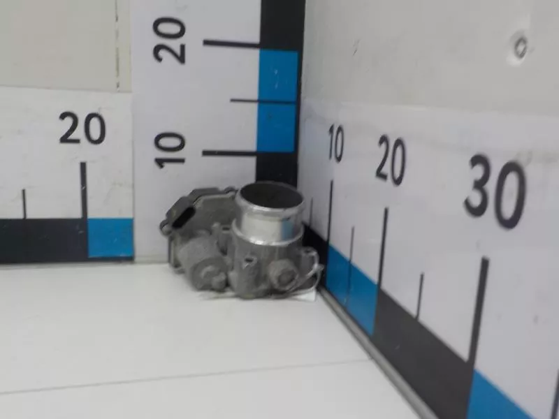 Заслонка дроссельная BS190124 Заслонка дроссельная BS190124