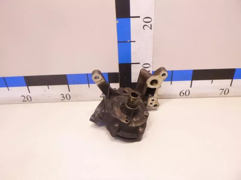 Масляный насос BS253769 Масляный насос BS253769