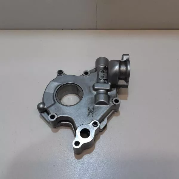 Масляный насос BS253397 Масляный насос BS253397