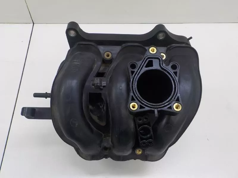 Впускной коллектор ST299829